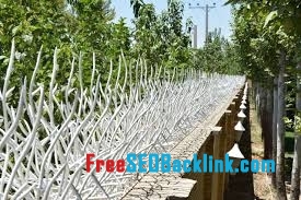 حفاظ روی دیوار در کلاردشت